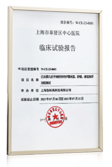 临观报告